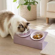 Spill-Resistant Double Ceramic Cat Bowl Station — cat-friendly home interior