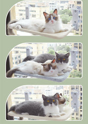 Suction-Cup Window Cat Perch — product detail 7