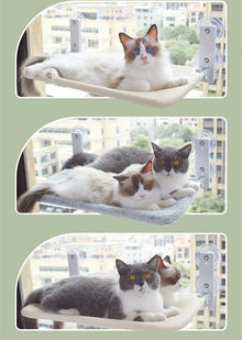 Suction-Cup Window Cat Perch — product detail 7