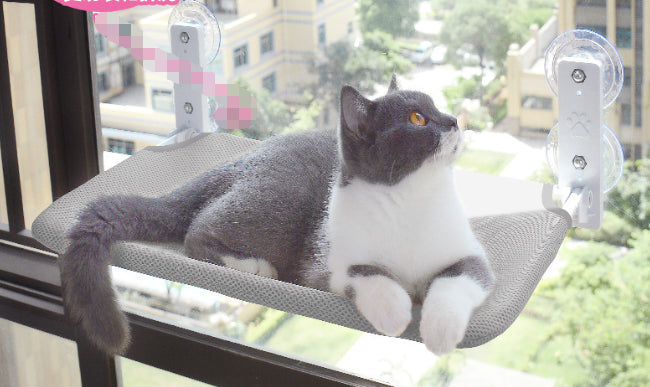 Suction-Cup Window Cat Perch — product detail 10