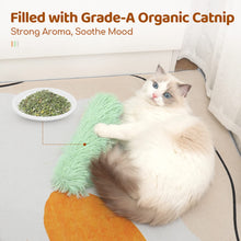 Three-Pack Catnip Crinkle Pillow Toys — cat-friendly home interior