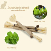 Three-Pack Natural Silvervine Cat Sticks — clean background product view