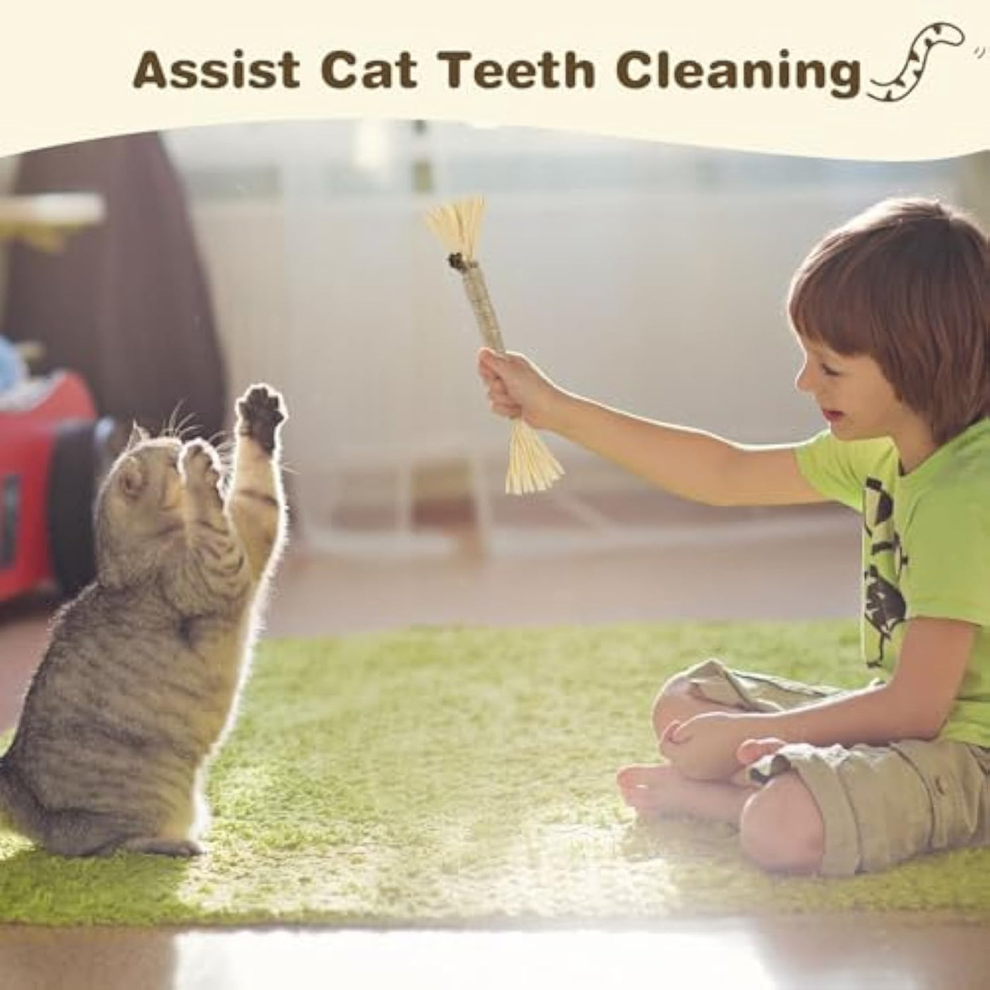 Three-Pack Natural Silvervine Cat Sticks — cat-friendly home interior