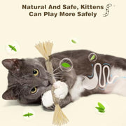 Three-Pack Natural Silvervine Cat Sticks — product detail 3