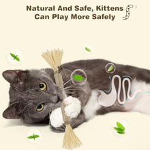 Three-Pack Natural Silvervine Cat Sticks — product detail 3