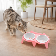 Two-Bowl Elevated Ceramic Cat Feeding Station — cat-friendly home interior
