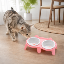 Two-Bowl Elevated Ceramic Cat Feeding Station — cat-friendly home interior