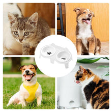Two-Bowl Elevated Ceramic Cat Feeding Station — product detail 5