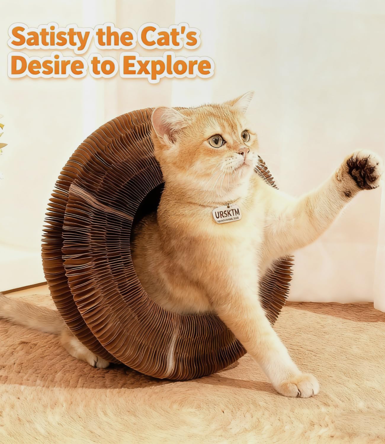Two-Pack Foldable Magic Organ Cat Scratchers — cat-friendly home interior