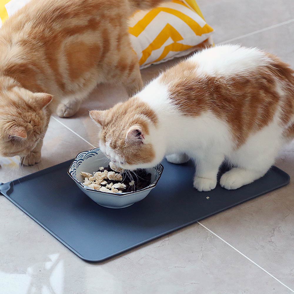 Waterproof Silicone Cat Food Mat with Raised Edge — cat-friendly home interior