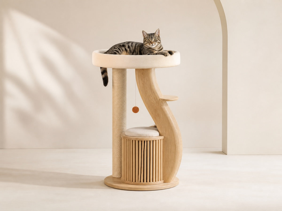 Furniture collection